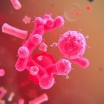 خلاصه ساختار دیواره باکتری ها